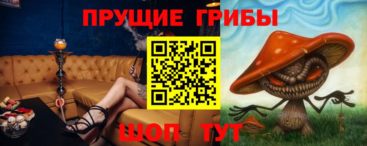 Галлюциногенные грибы Psilocybe Калач-на-Дону